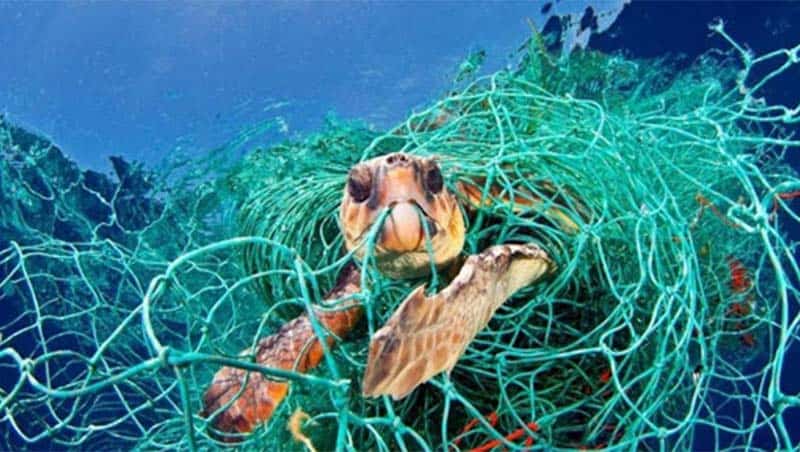 Ngư cụ có khả năng phân hủy sinh học – giải pháp giảm thiểu rác thải nhựa đại dương